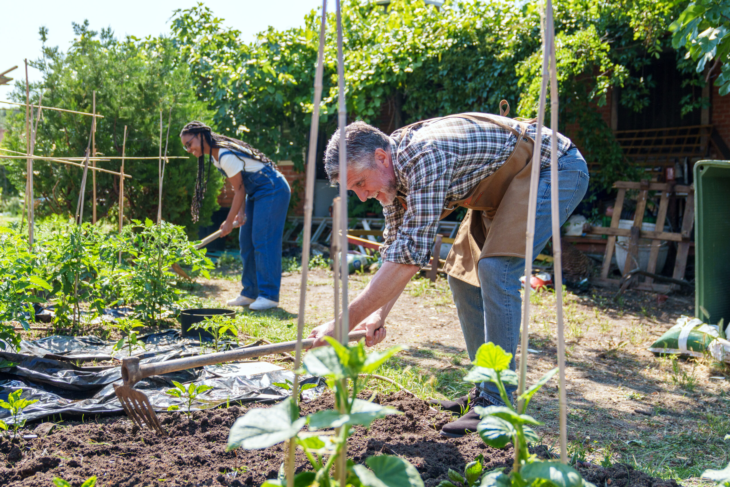 Stewardship Webinars