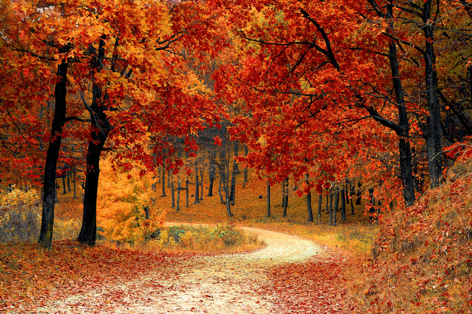 This Fall: Clergy Circles