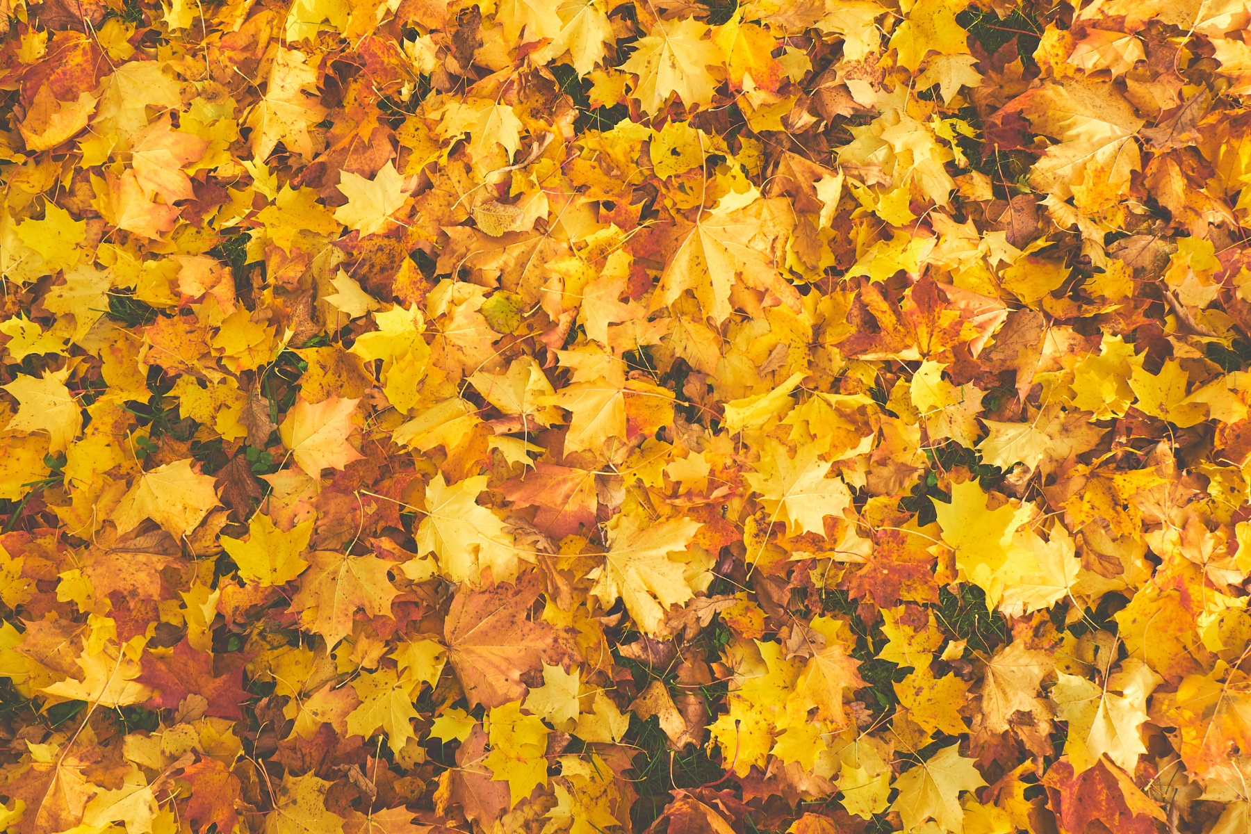 This Fall: Sand Creek Pilgrimage